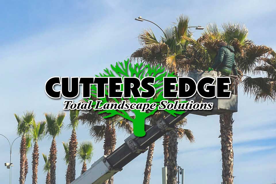 Cutters-Edge.jpg