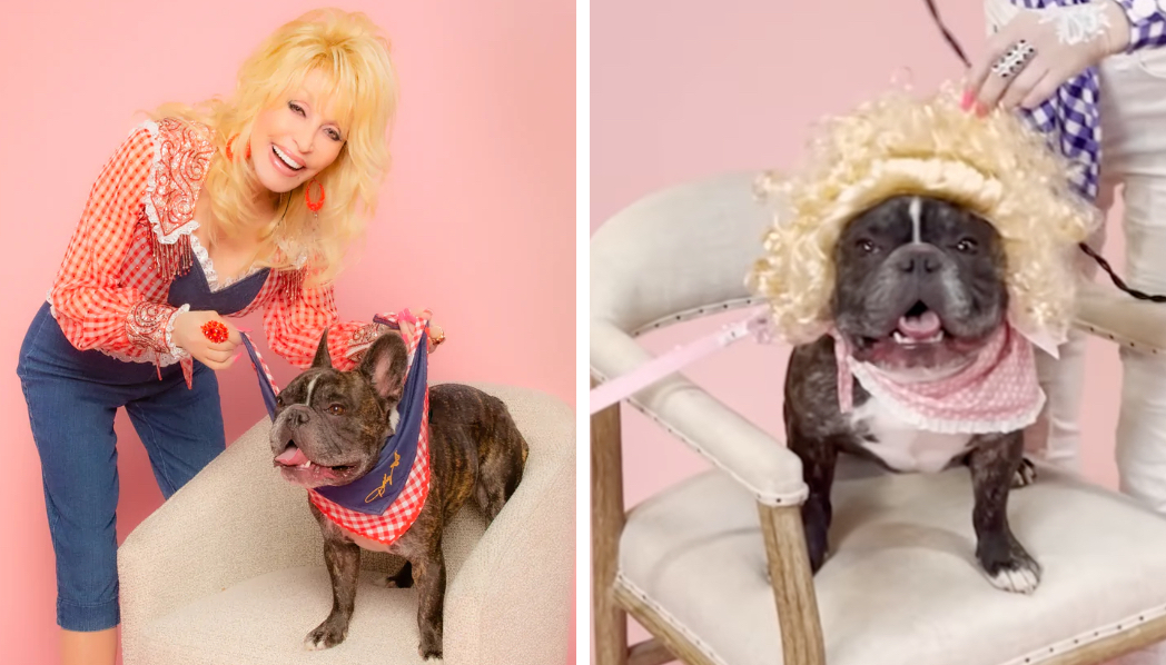dolly-parton-debuts-doggy-parton-pet-brand-with-through-the-woof-country-vibes-1.jpg