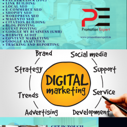 best-digital-marketing-service-provider-promotion-expert_6378f4675b1af_w250_h250.png