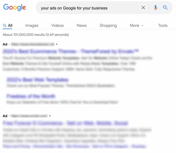 google-ads-results-example.jpg