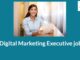 Digital Marketing Executive Jobs: Work Experience, Skills, Salary And Vacancies