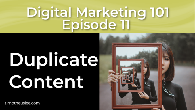 On Page SEO - Duplicate Content - 8th of 12 Techniques That Work | Episode 11 | Digital Marketing 101