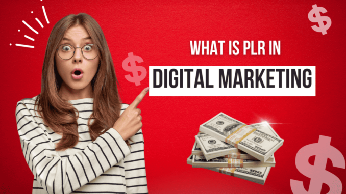 What is PLR in Digital Marketing | Using PLR to Generate Traffic