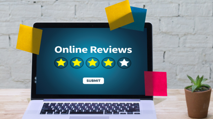 Google Reviews - SteerPoint - Digital Marketing Agency