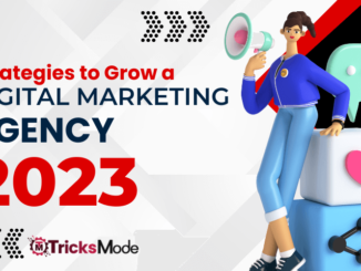 Best Strategies to Grow a Digital Marketing Agency in 2023