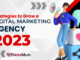 Best Strategies to Grow a Digital Marketing Agency in 2023