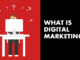 Digital Marketing 101: A Beginner’s Guide to Understanding the Basics and Inner Workings