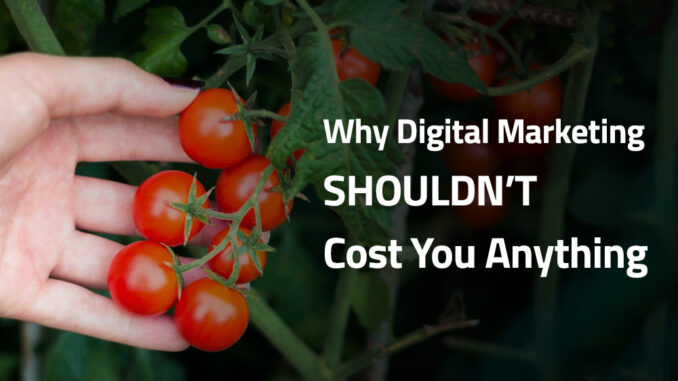 Why Digital Marketing Shouldn’t Cost You Anything - e-CBD Blog