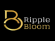 Introducing RippleBloom: Transforming Digital Marketing in Gurgaon and Beyond