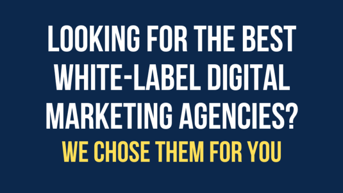 Looking for The Best White Label Digital Marketing Agencies? We Chose Them for You