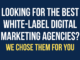 Looking for The Best White Label Digital Marketing Agencies? We Chose Them for You