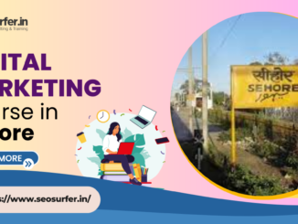 The Best Digital Marketing Training Institutes in Sehore - SEOsurfer