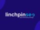 The Guide to Digital Marketing For Professional Services Companies | Linchpin SEO