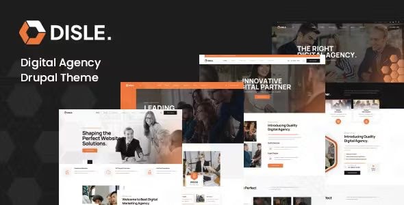 Disle - Digital Marketing Agency Drupal Theme Review