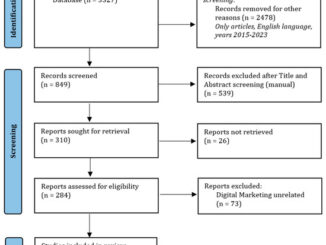 Artificial Intelligence in Digital Marketing: Insights from a Comprehensive Review