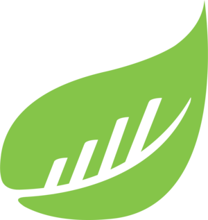 BusySeed – Top Digital Marketing Agency