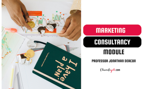 The Consultancy Module: Navigating the Digital Marketing And Consulting Landscape