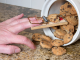 The End of an Era – Say Goodbye to Google’s Third-Party Cookies | JumpFly Digital Marketing Blog