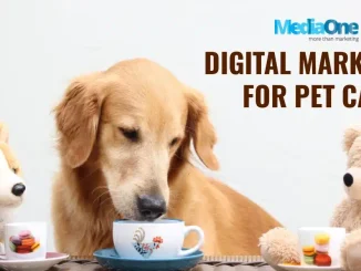 Pet Cafe Success: Effective Digital Marketing Strategies - MediaOne