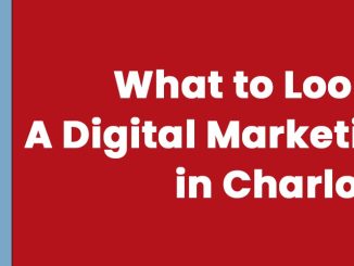 What to Look for In A Digital Marketing Agency in Charlotte? - Mindstorm Communication