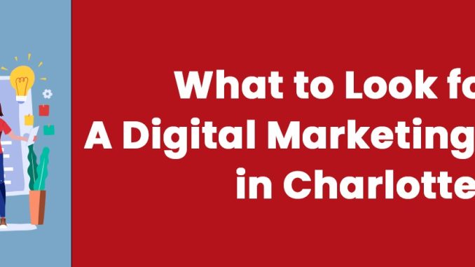 What to Look for In A Digital Marketing Agency in Charlotte? - Mindstorm Communication