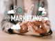 What’s The Best Type of Digital Marketing for Your Business? | WADEDIGITAL