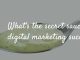 3 Ingredients in the Secret Sauce for Digital Marketing Success