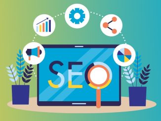 Navigating SEO Alone: A Beginner's Guide for DIY Website Owners - Robert Dunford Digital Marketing Services