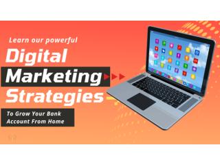 Tap into Your Potential with Our Digital Marketing Training Course!