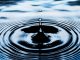 The Ripple Effect: Impacts of High Account Manager Turnover in a Digital Marketing Agency